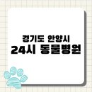 안양본동물의료센터 | [전국 24시 동물병원 지도 #14] 경기도 안양시 편 : 응급 진료 가능한 동물병원 리스트