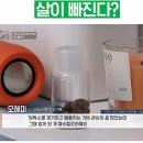 텍토