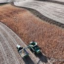 미중농장 이미지