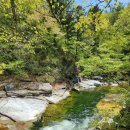 물결그림 이미지