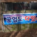 (배표 때문에 일정수정)11월 29,30일 굴업도 번개공지. 이미지