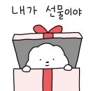 멍뭉워시 이미지