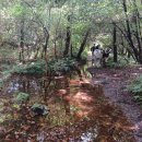 힐스템 건강 방학점 | 멈춤, 그리고... (초소식과 명상 참여 후기)