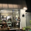 띠넬로인서울