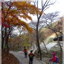 정암사 주차장 이미지