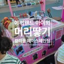 에버랜드 colorful 머리땋기 가격 관리방법, 페이스페인팅
