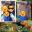 주차43 | 동탄 실내 동물원 주렁주렁 43개월 아기랑 내돈내산 방문후기(라크몽 주차)