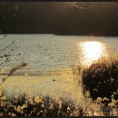 호수의오후 이미지