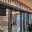 Central 동물병원 이미지