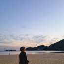 달맞이여관 | 노을, 그네, 섬머페스티벌, 워터슬라이드, 달맞이 물메기 축제, 오토캠핑장 정보, 613여관 근처 바다...