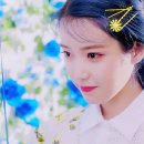 아이유 'Blueming' 중 가장 마음이 몽글해지는 가사는? 이미지