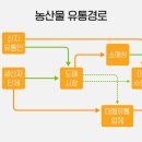 우리농산물도매유통