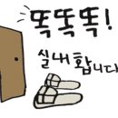 샐러드문 이미지