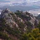 덕산면007 Daum카페