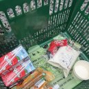 펫츠런파크 | 거제도 펫츠런파크 개별 울타리가 있는 반려견동반 신설 캠핑장