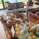 레드디어 이미지