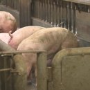 덕림농장 이미지