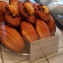 서시루아 | 꼼다비뛰드 강남구청역 핫한 빵집에 들려봤어요! / 빵메뉴 &amp; 빵 추천/ 가격정보!