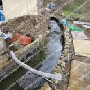 해양대학로 이미지