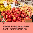오빠네과일가게 - 시흥시 삼미시장3길 13 | 오빠네과일가게