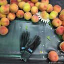 풍원농장 이미지