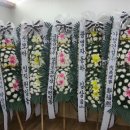 제일장의사 - 창원시 마산합포구 315대로 141-1 | 제일장의사