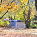 별빛 오토 캠핑장 이미지