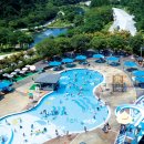 엘리시안강촌수영장 이미지