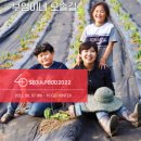 솔길농장 이미지