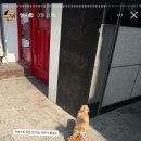 보람유치원 | 인천 강아지 훈련｜중•대형견 유치원 [아리스독] 소형견 율무 긍정강화훈련 후기_(3)2회차 훈련 및 경과