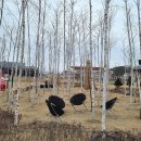 오테힐 게스트하우스 이미지