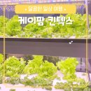 케이팜 | 케이팜 킨텍스 다녀온 후기 움직이는 텃밭 신기해