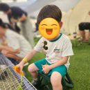 우림농장 | 김해 아이랑 토끼, 잉어, 기니피크, 파충류 먹이주기 고양이랑 놀기 김해 열대우림체험농장 후기