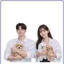 멍블랑 강아지분양 시흥배곧점 | 시흥 배곧 고양이분양 비교 끝에 선택한 만족 후기