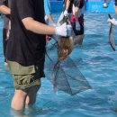 광어회7,000 | 2026 서천 광어도미축제 광어맨손잡기 체험 성공 직접 잡은 광어 회 떠먹은 솔직 후기