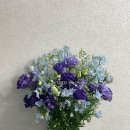 플라워샵 취창업을 위한 꽃꽂이 | 창원 핌플라워샵 유니크하고 예쁜 파랑색 꽃다발 후기