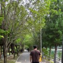 에꼴드펫 | [춘천] 공지천조각공원 애견동반 산책 코스ㅣ강아지랑 여유로운 하루 보내기