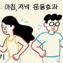 체중 감량 운동은 아침, 근력 운동은 저녁 이미지