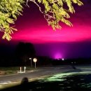 만성농장 이미지