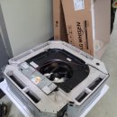 광포전자 이미지