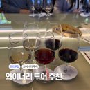 오다가다 | 포르투 와이너리 투어 추천 오다가다 도우루 밸리 투어 내돈내산 솔직 후기