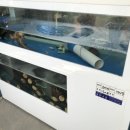 빡빡이제주생해물탕 이미지