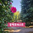 하귤과보리 | [제주] 동백포레스트 12월초 방문후기 제주 동백꽃 명소 카페 추천