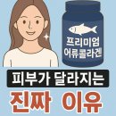 어류 | 프리미엄 어류콜라겐, 피부가 달라지는 진짜 이유