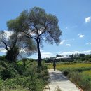 설성면행정복지센터 이미지