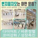 라엘발레스튜디오 이미지