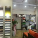 라우스 데오 이미지