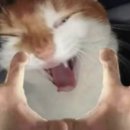 (주)건대 이미지