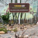 모란세계여행 이미지