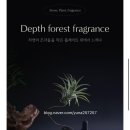 에이치플랜트 이미지